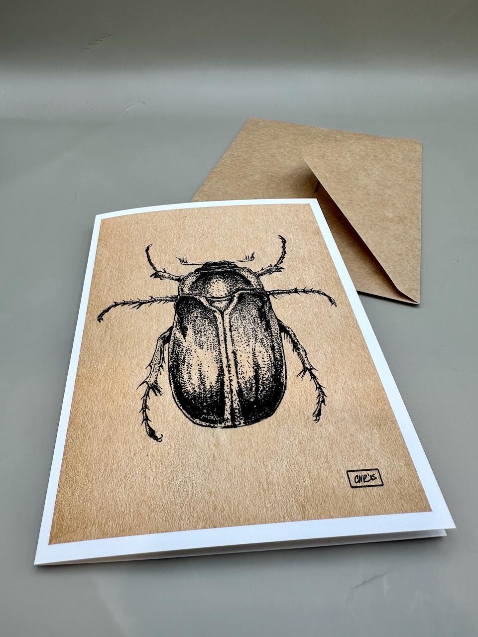 June Bug Vintage Black & White Taxidermy Illustration | 5x7" Blank Greeting Card