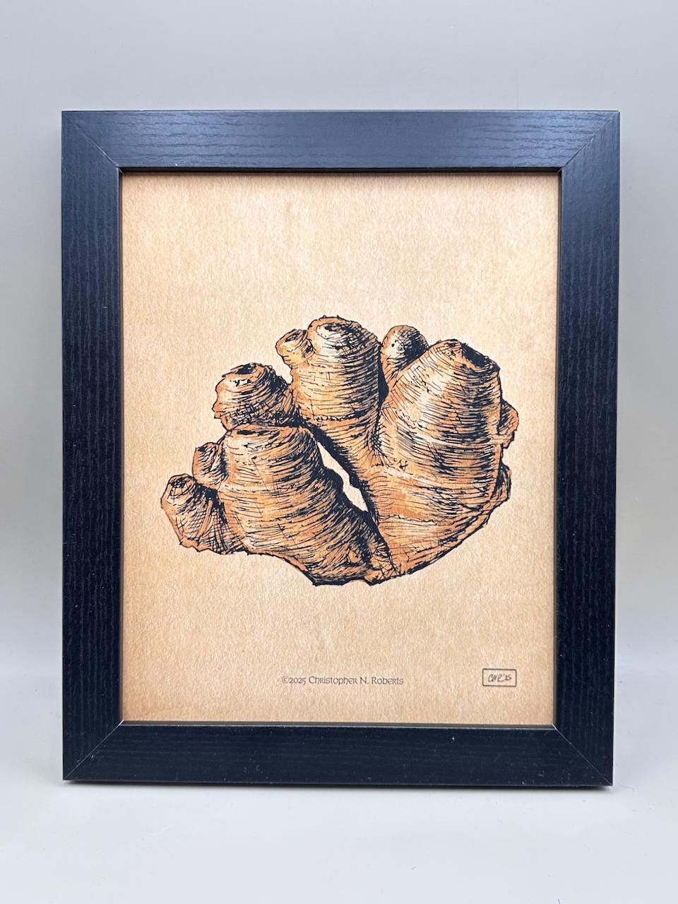 Ginger Root Natural Science Illustration - Kitchen and Restaurant Decor - Food Lover Gift | Art Print