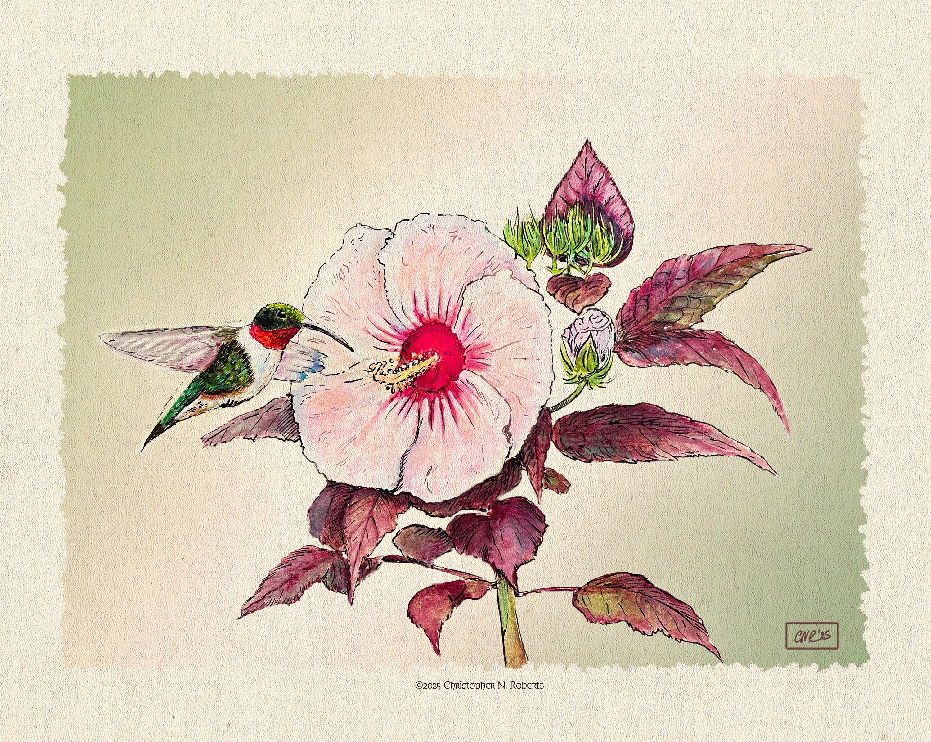 Hummingbird and Hibiscus Watercolor - Summer Garden Scene - Whimsical Botanical | Art Print