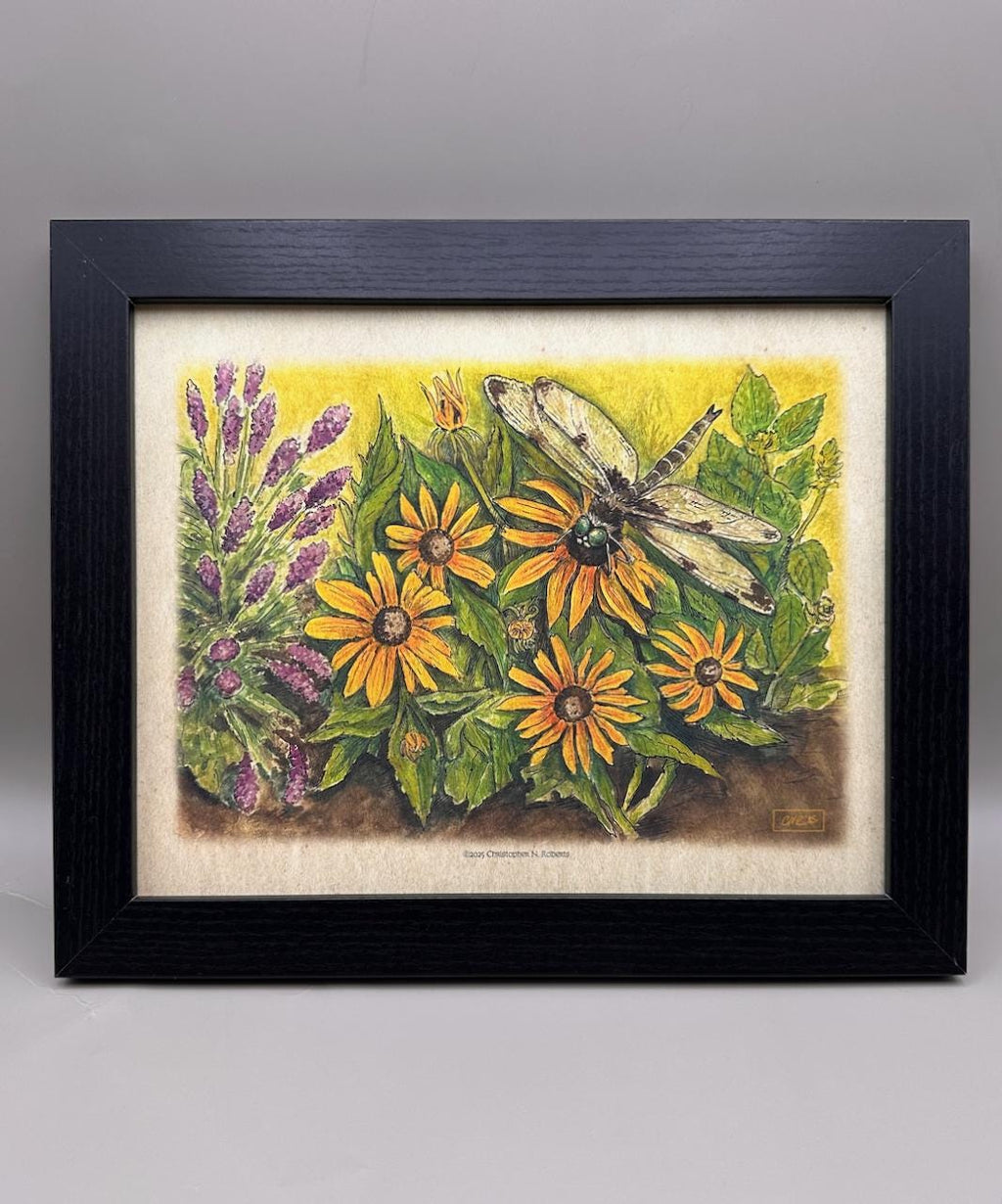Dragonfly's Garden - Lavender, Mint and Black-Eyed Susans - Botanical Drawing | Art Print