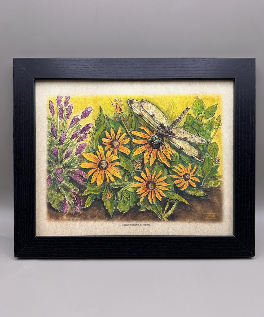 Dragonfly's Garden - Lavender, Mint and Black-Eyed Susans - Botanical Drawing | Art Print