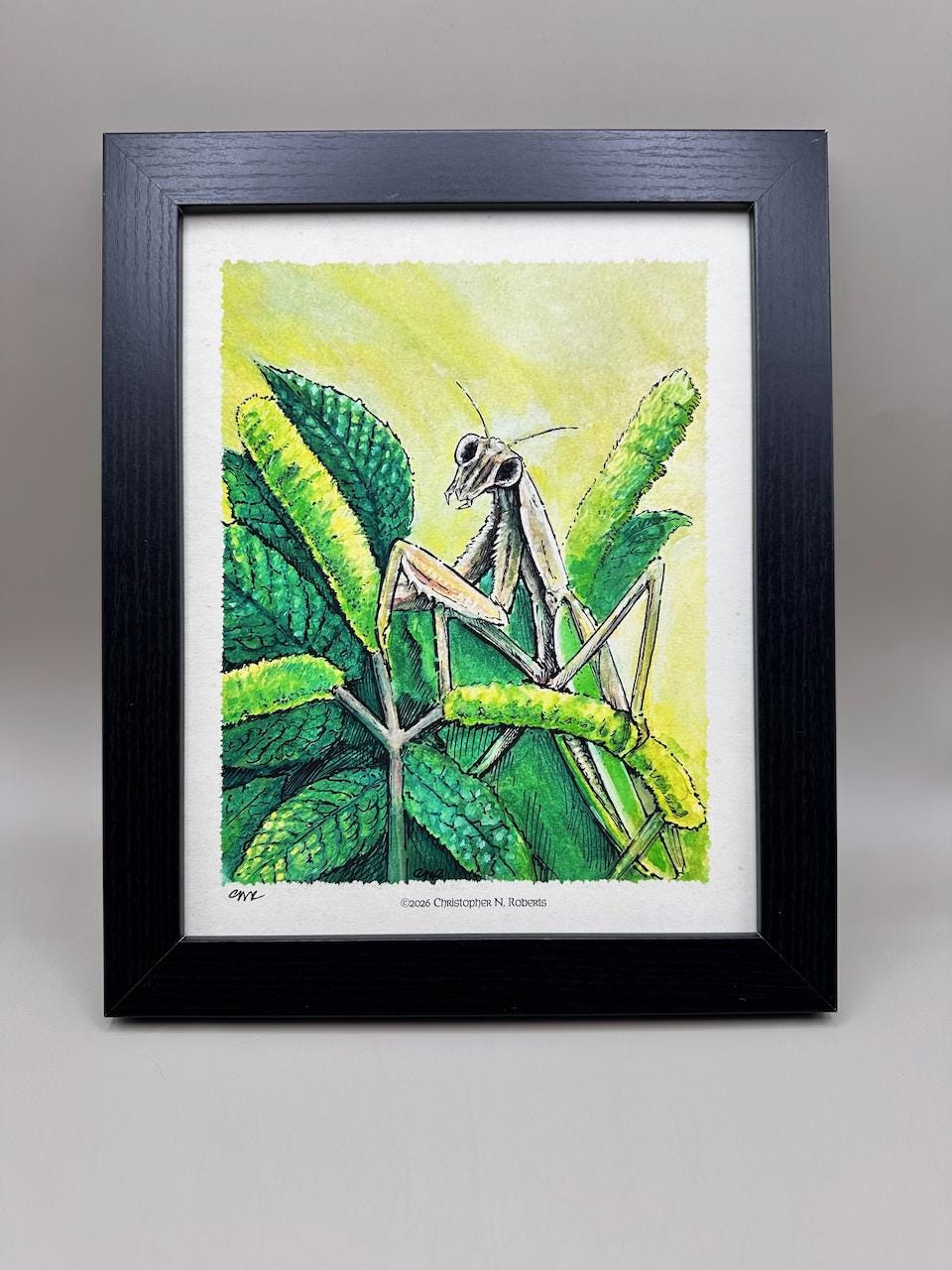 Praying Mantis Watercolor Print | Insect Nature Wall Art (8x10)