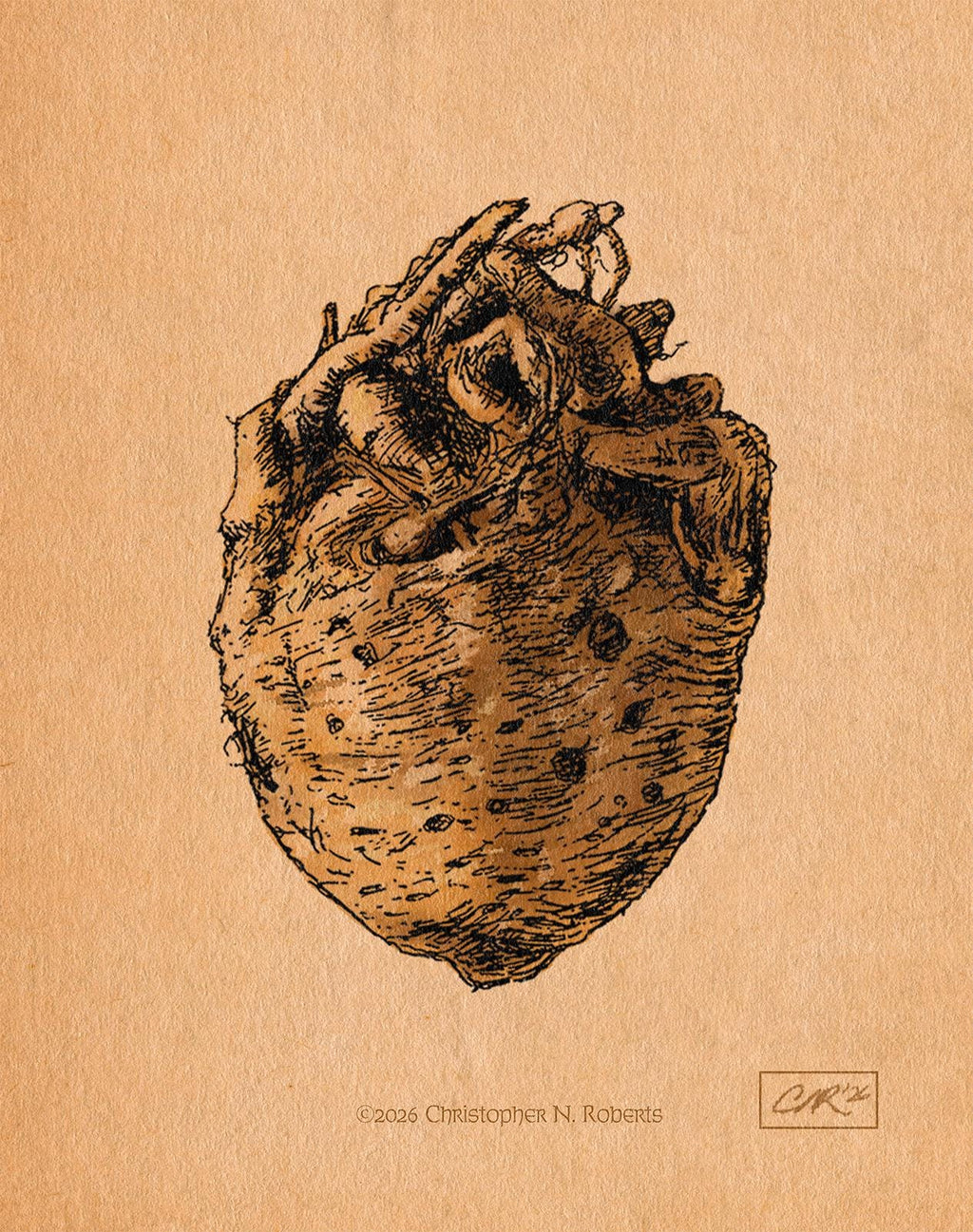 Celery Root Pen and Ink Study - Food Kitchen Illustration | Art Print