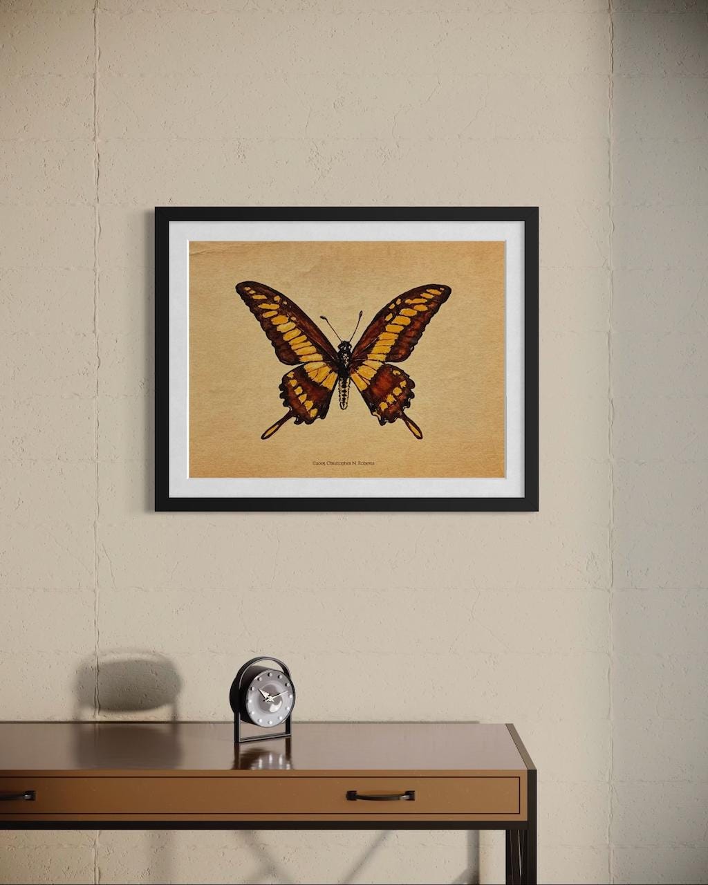 Giant King Swallowtail Butterfly - Taxidermy Insect Watercolor Illustration - Vintage Parchment | Art Print