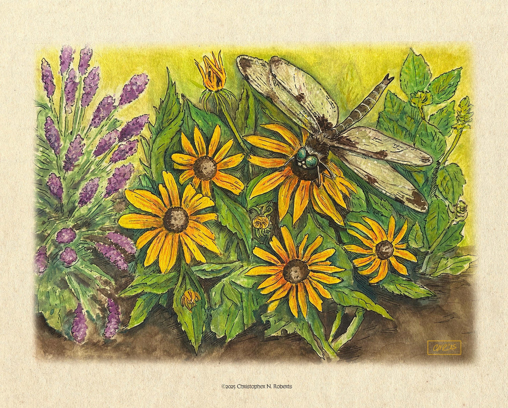 Dragonfly's Garden - Lavender, Mint and Black-Eyed Susans - Botanical Drawing | Art Print