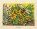 Dragonfly's Garden - Lavender, Mint and Black-Eyed Susans - Botanical Drawing | Art Print