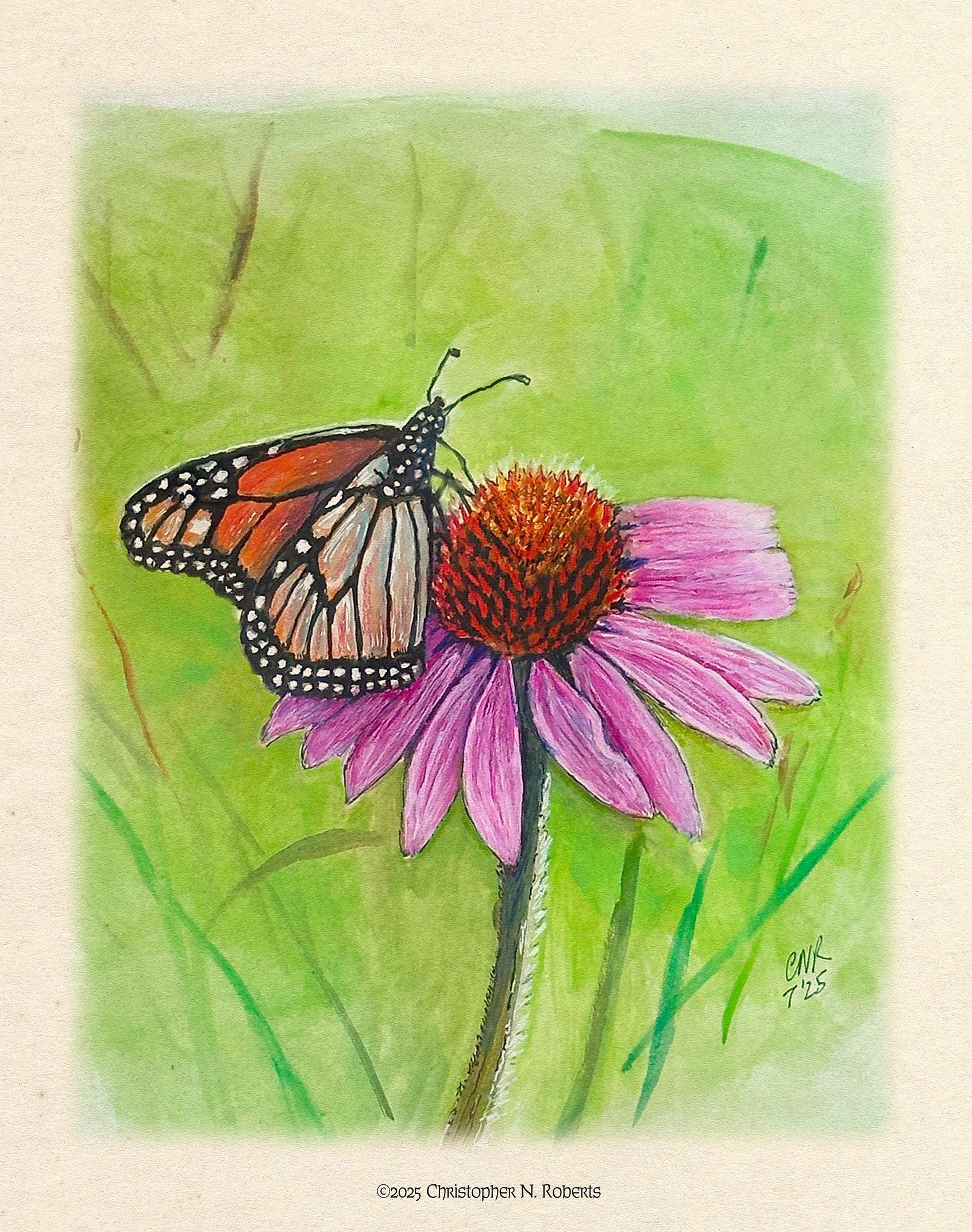 Monarch Butterfly & Echinacea Watercolor - Botanical Home Decor | Art Print