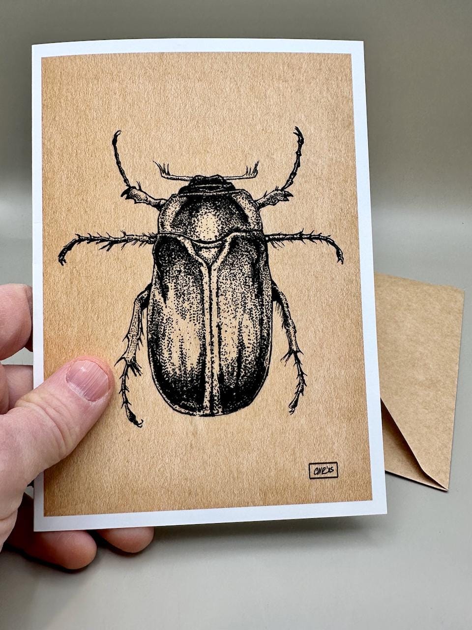 June Bug Vintage Black & White Taxidermy Illustration | 5x7" Blank Greeting Card