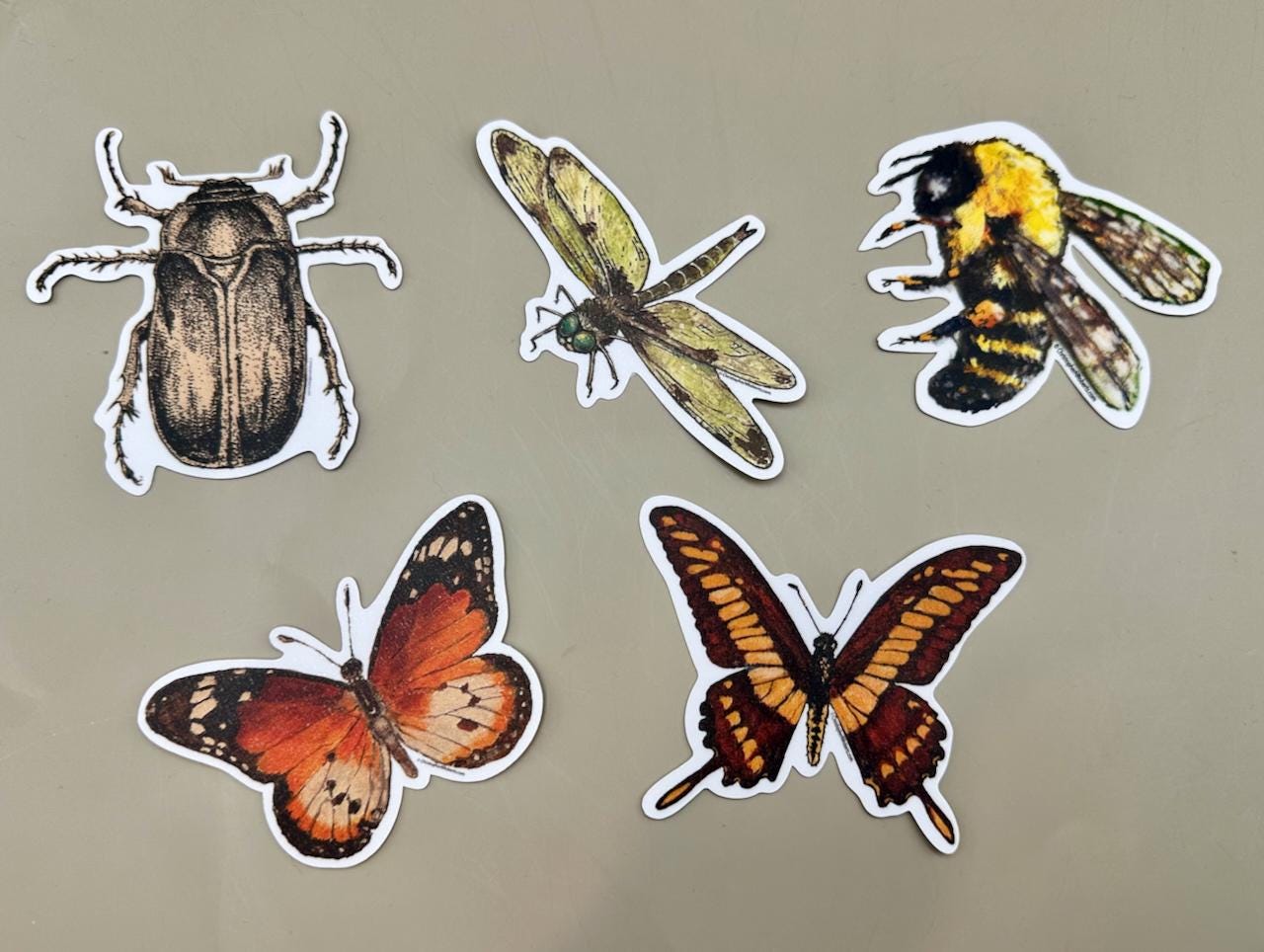 African Monarch Butterfly Watercolor Illustration - Bug Lover Decal | 3" Waterproof Sticker