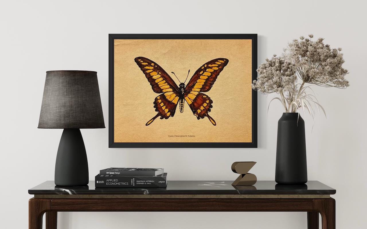 Giant King Swallowtail Butterfly - Taxidermy Insect Watercolor Illustration - Vintage Parchment | Art Print