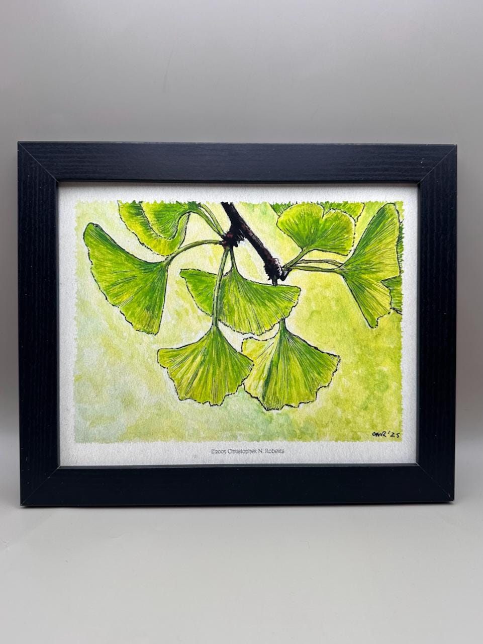 Ginkgo Leaves in Sunlight – Whimsical Botanical Nature  Decor – Watercolor | Art Print