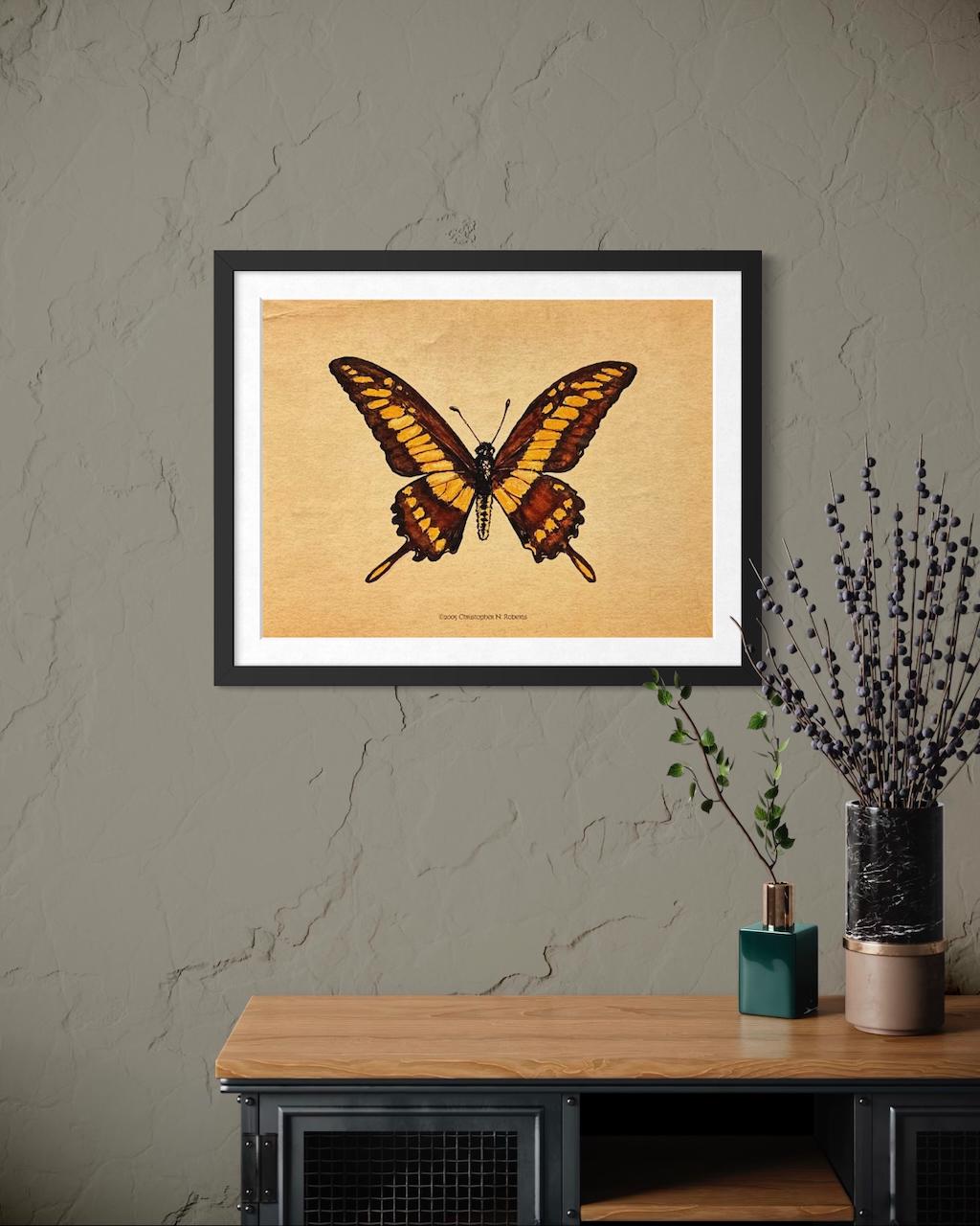 Giant King Swallowtail Butterfly - Taxidermy Insect Watercolor Illustration - Vintage Parchment | Art Print
