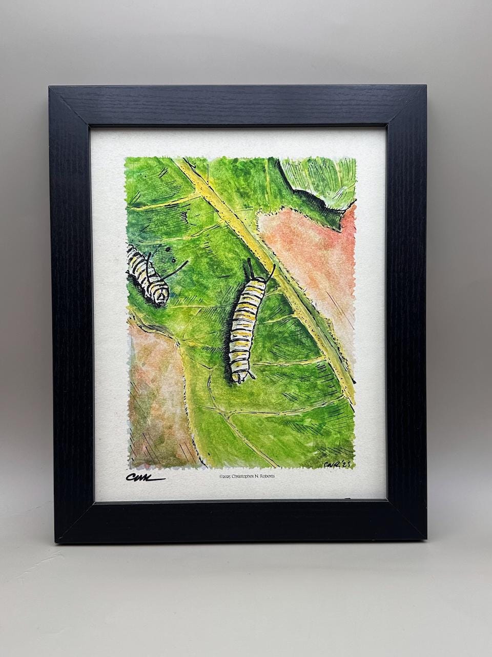 Monarch Butterfly Caterpillar Metamorphosis Part I - Whimsical Caterpillars on Milkweed | Art Print