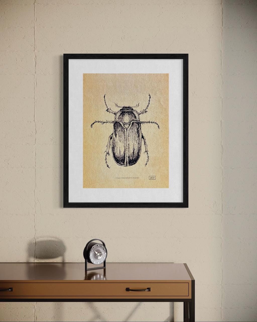 June Bug Entomology Study - Black and White Taxidermy Insect Illustration - Vintage Parchment | Art Print