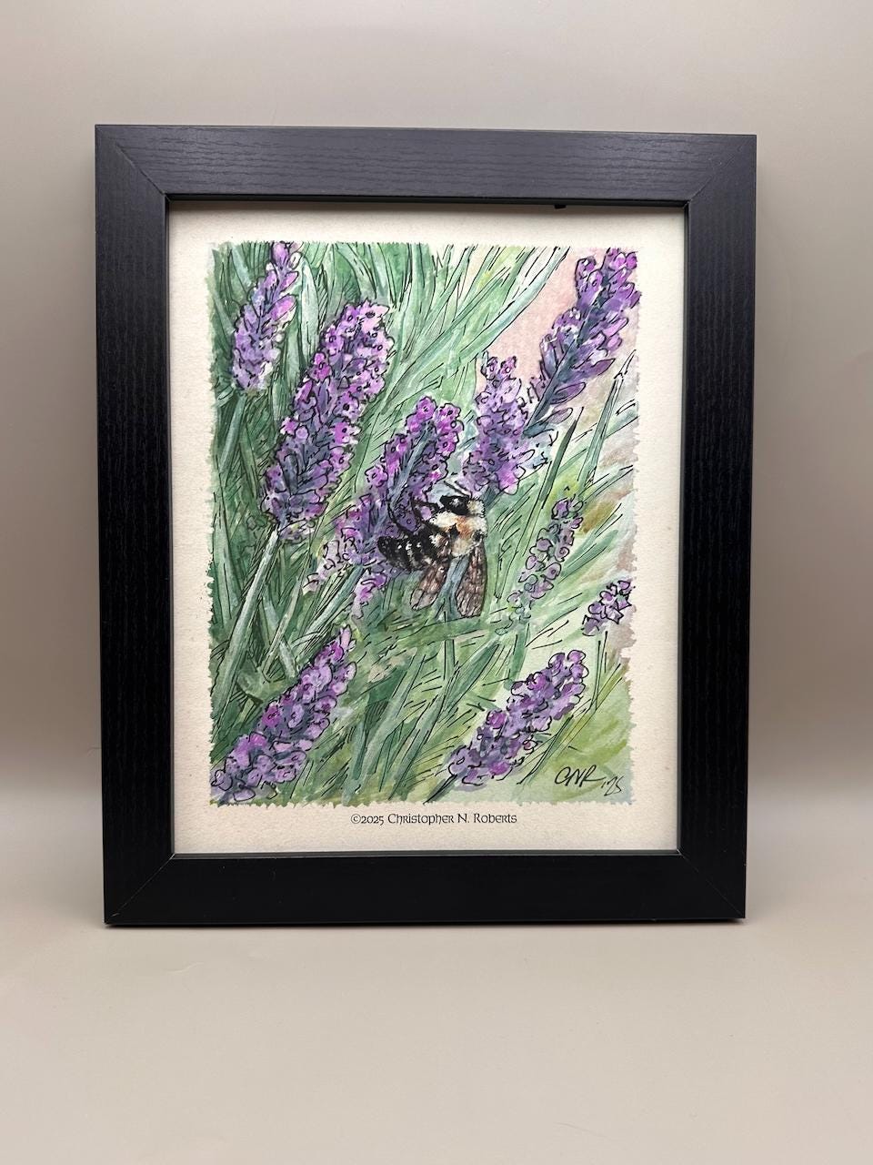 Bumble Bee on Lavender - Nature Lover Botanical Illustration - Watercolor and Pen | Art Print