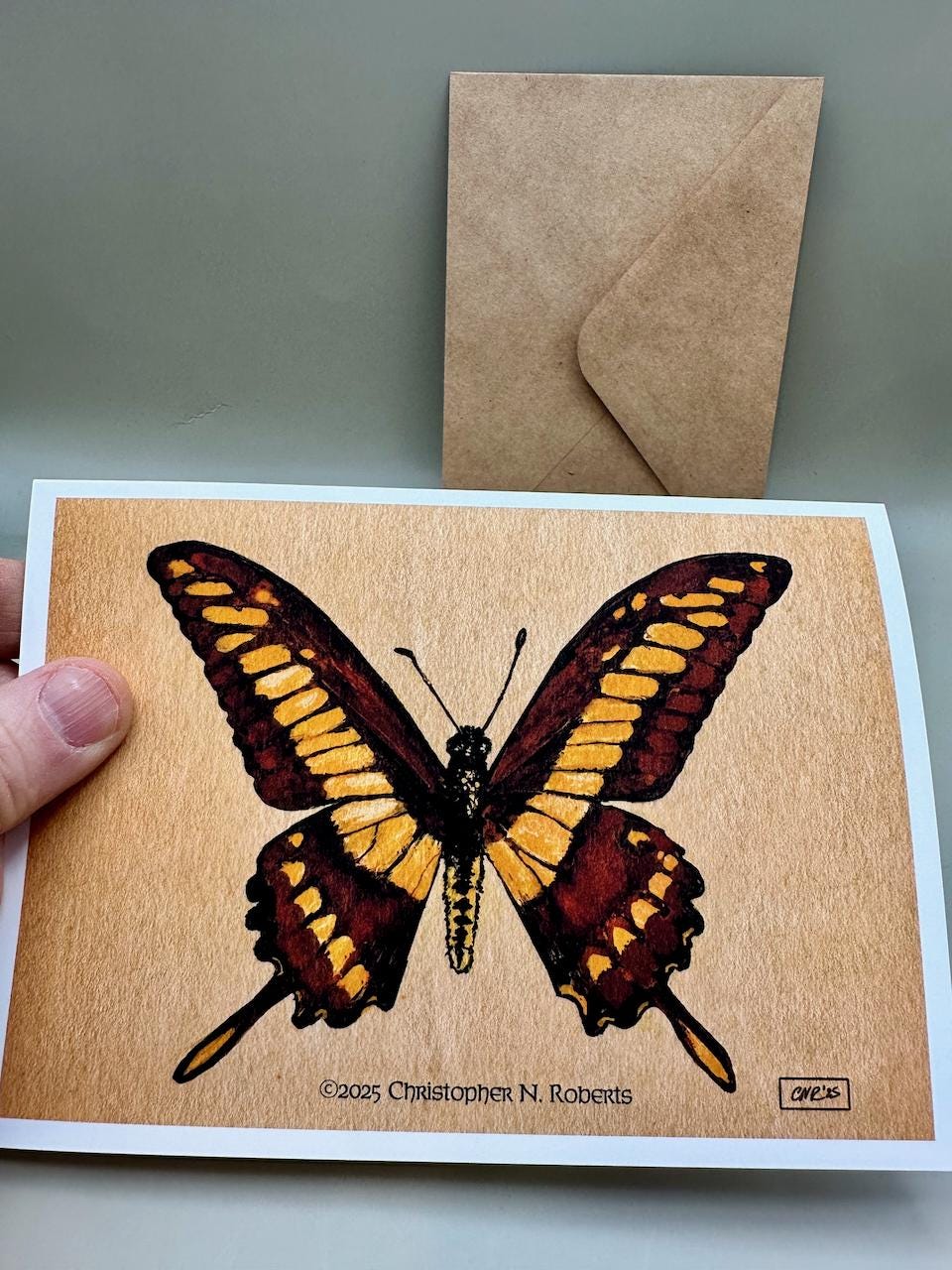Giant King Swallowtail Butterfly Taxidermy Insect Illustration | 5x7" Blank Greeting Card