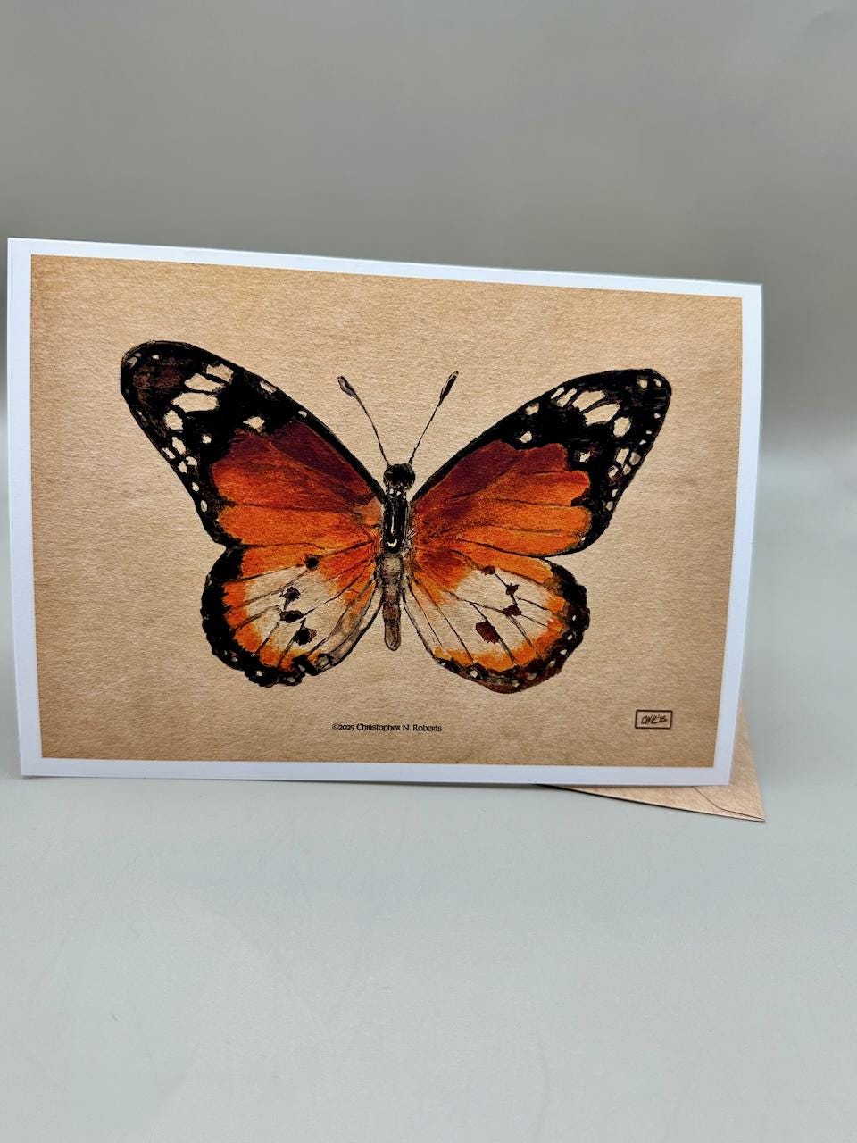 African Monarch Watercolor Taxidermy Insect Art | 5x7" Blank Greeting Card