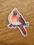 Female Cardinal Watercolor Illustration - Bug Lover Decal | 3" Waterproof Sticker