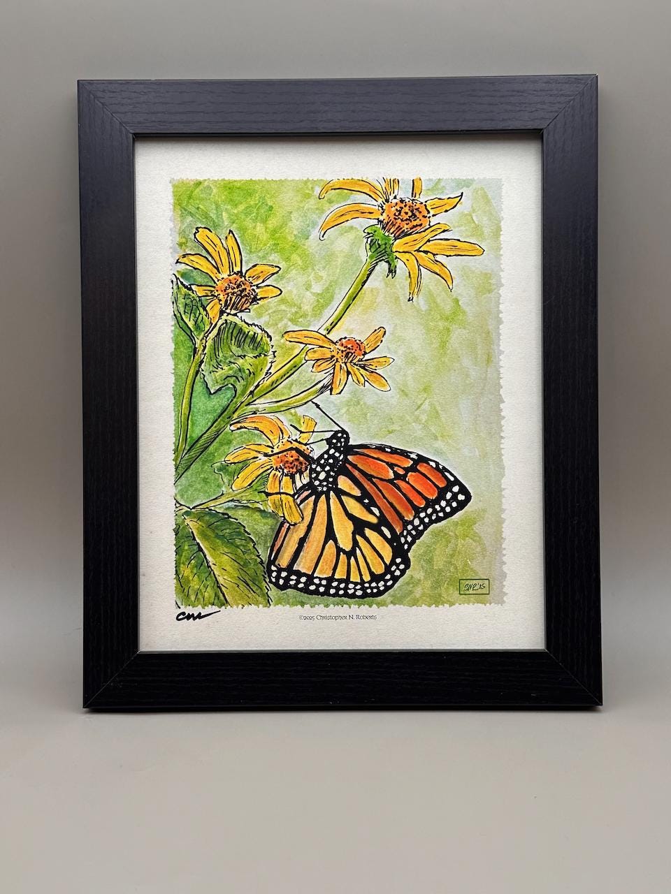 Monarch Butterfly Metamorphosis Part III - Watercolor Nature Study - American Monarch on Wildflower | Art Print