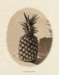 Sepia Pineapple Kitchen Decor: Traditional Pen & Ink Fruit Illustration | Art Print