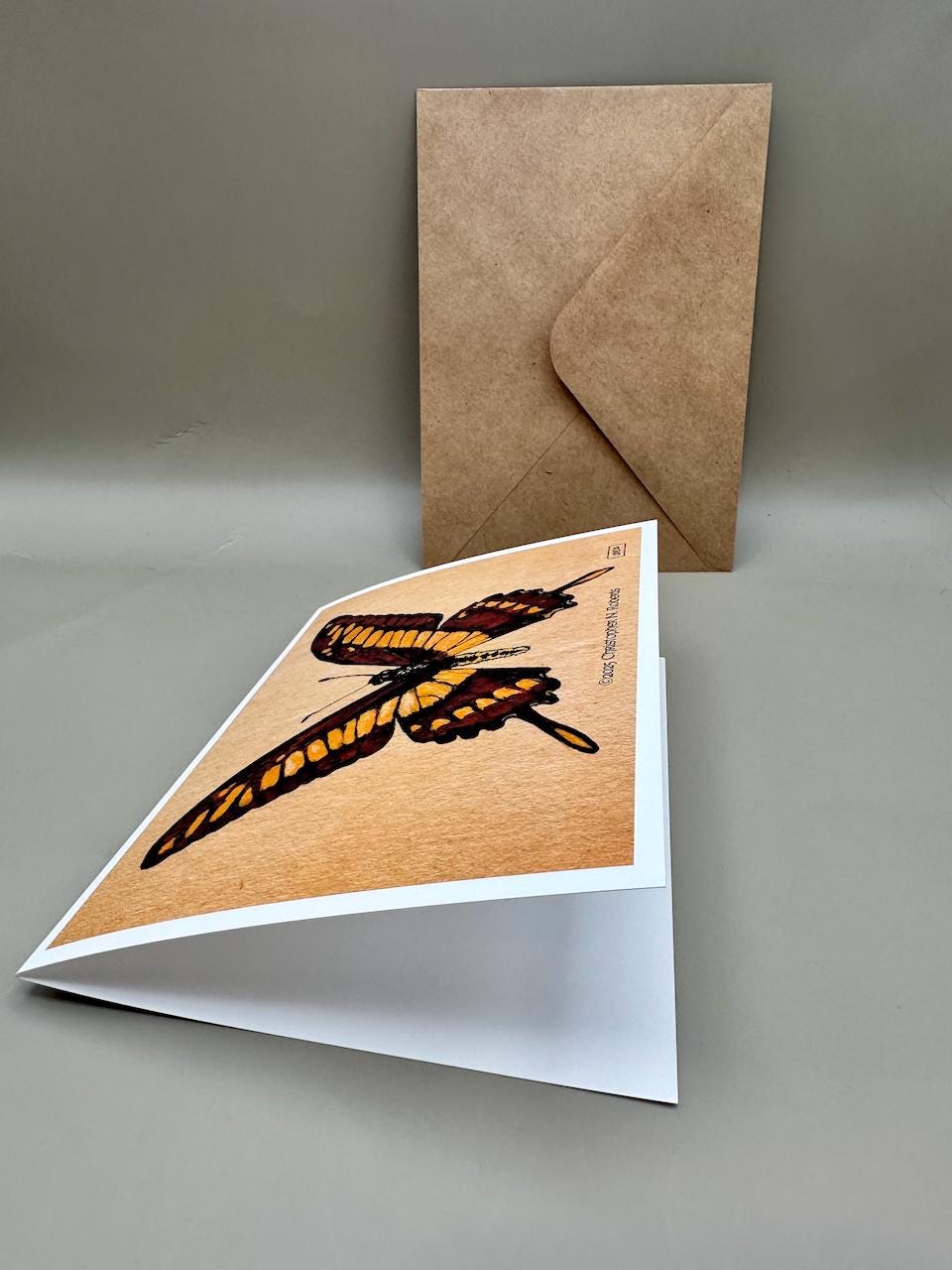 Giant King Swallowtail Butterfly Taxidermy Insect Illustration | 5x7" Blank Greeting Card