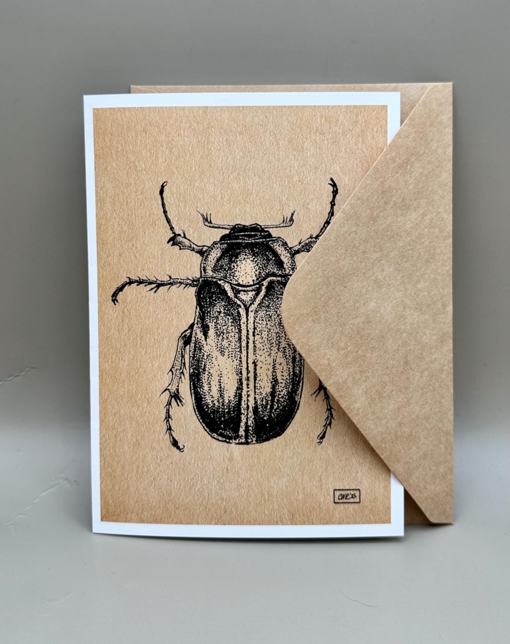 June Bug Vintage Black & White Taxidermy Illustration | 5x7" Blank Greeting Card
