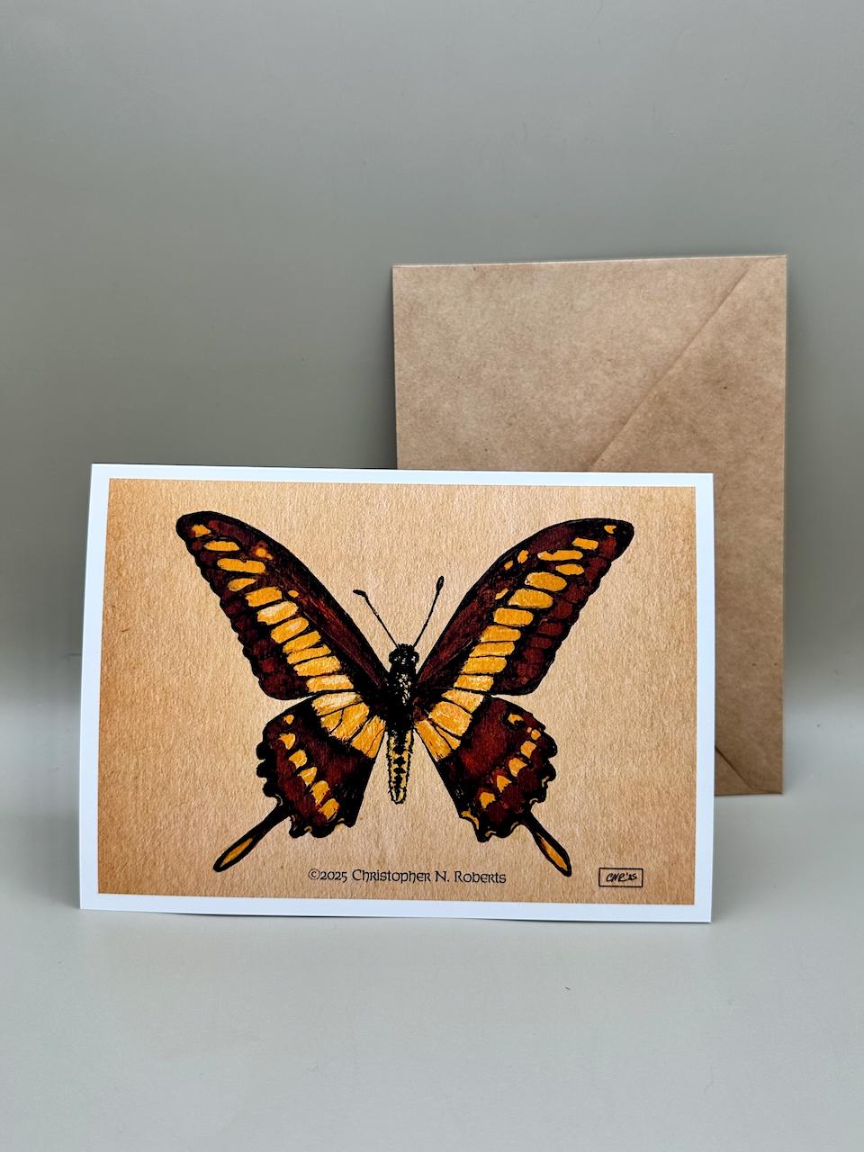 Giant King Swallowtail Butterfly Taxidermy Insect Illustration | 5x7" Blank Greeting Card