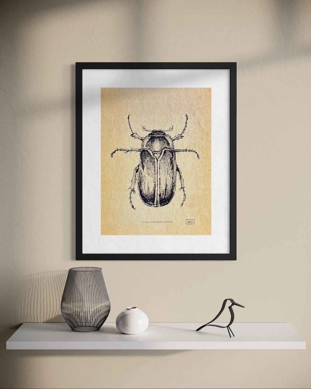 June Bug Entomology Study - Black and White Taxidermy Insect Illustration - Vintage Parchment | Art Print