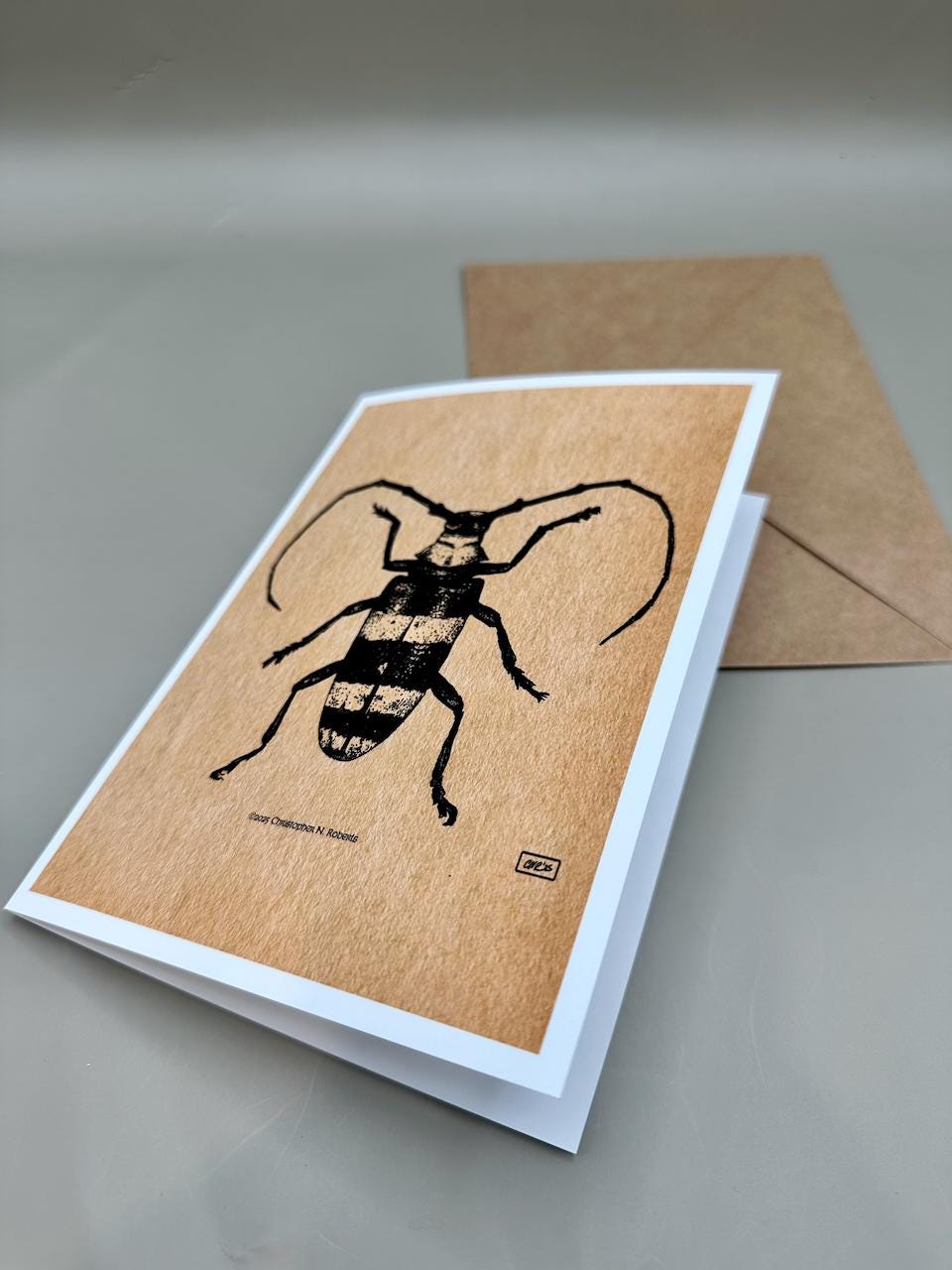 Longhorn Beetle Pen & Ink Taxidermy Insect Illustration | 5x7" Blank Greeting Card