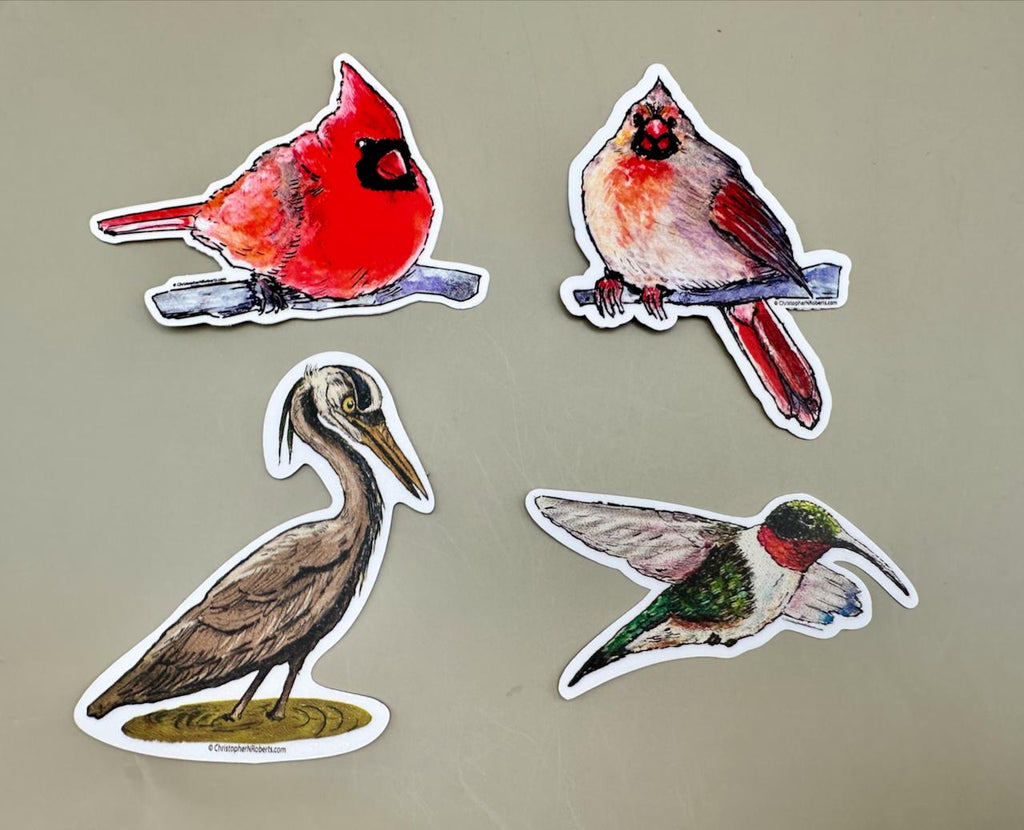 Male Cardinal Watercolor Illustration - Bird Lover Decal | 3" Waterproof Sticker