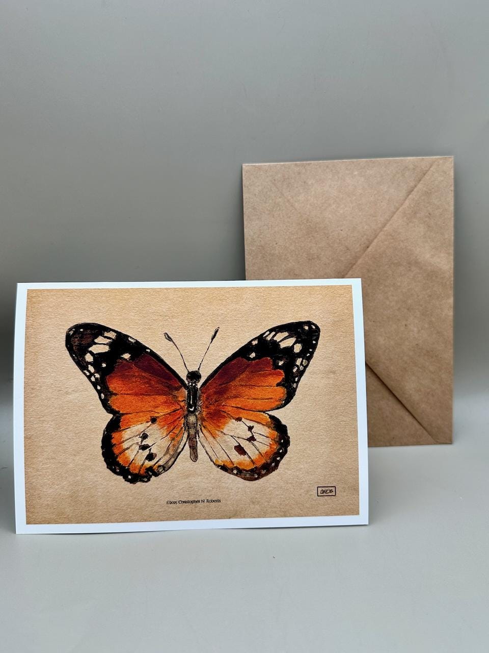 African Monarch Watercolor Taxidermy Insect Art | 5x7" Blank Greeting Card