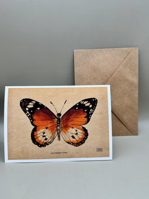 African Monarch Watercolor Taxidermy Insect Art | 5x7" Blank Greeting Card