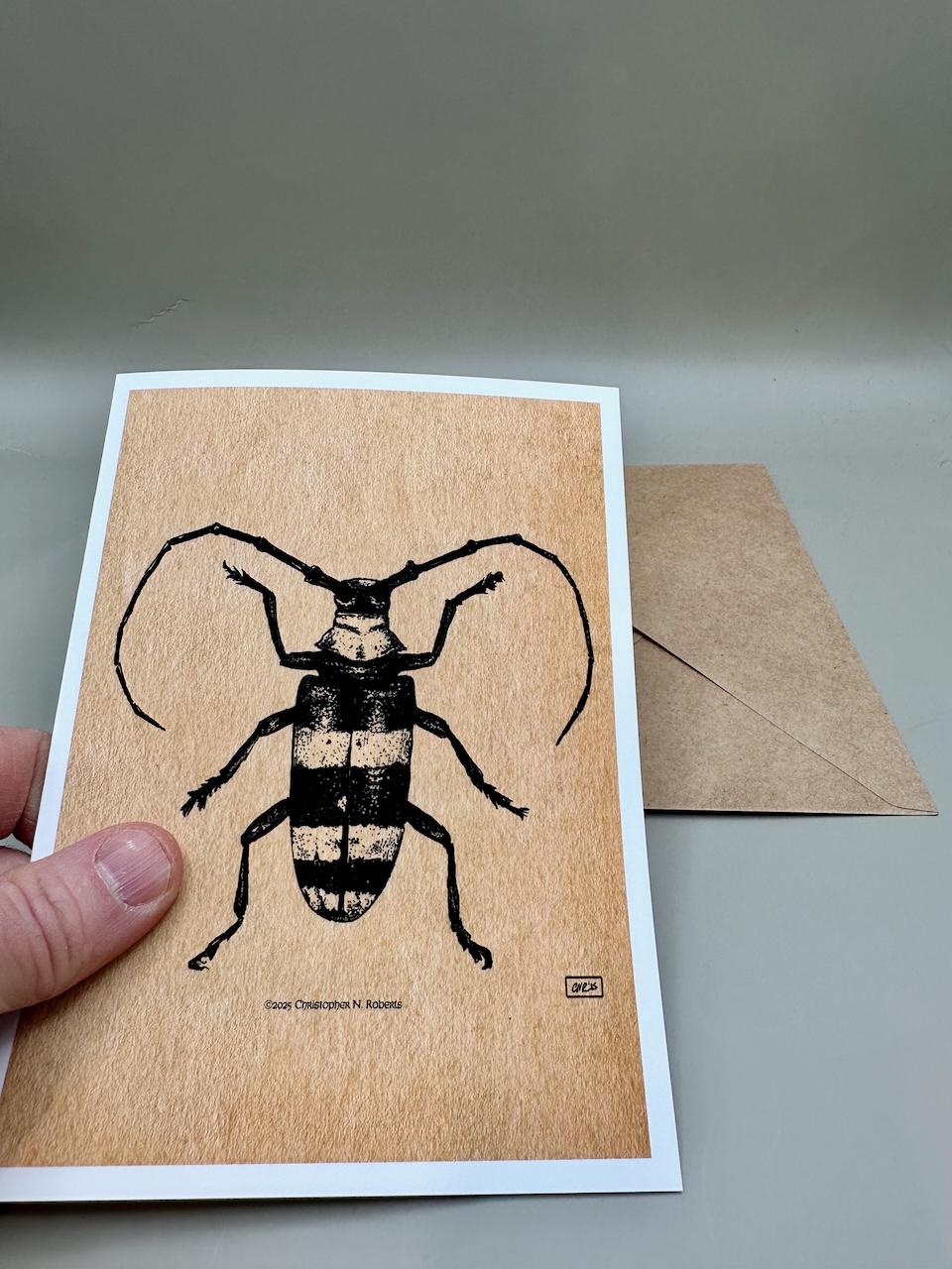 Longhorn Beetle Pen & Ink Taxidermy Insect Illustration | 5x7" Blank Greeting Card